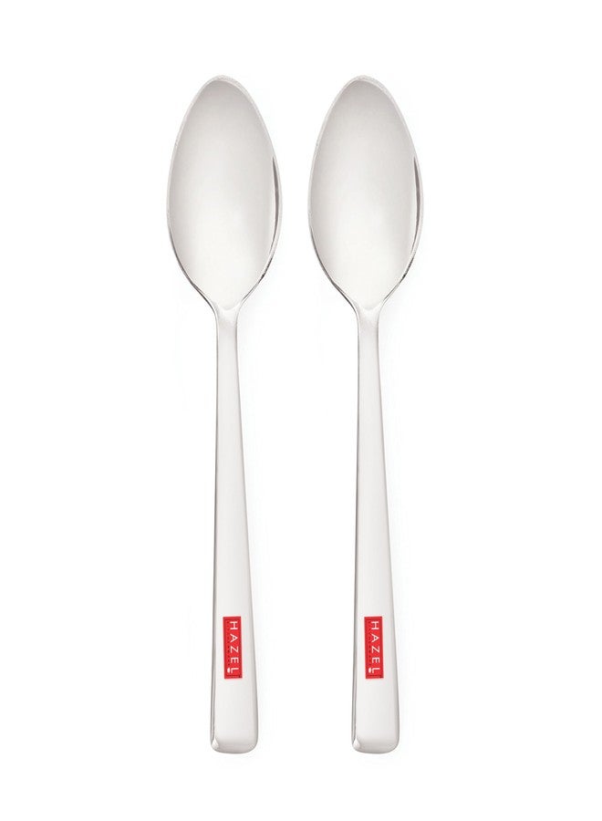 HAZEL Stainless Steel Small Spoons Set of 2 | Mini Spoon for Kids, Masala Jar, Spice Containers | 13.5 cm Baby Serving Spoon for Kitchen - Image 1